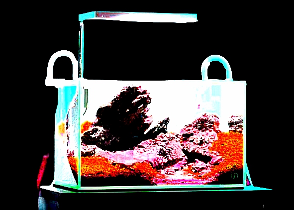 Nano Aquarium