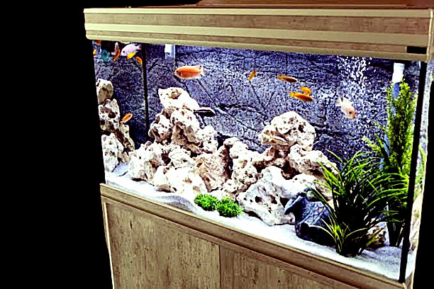 Nano Aquarium